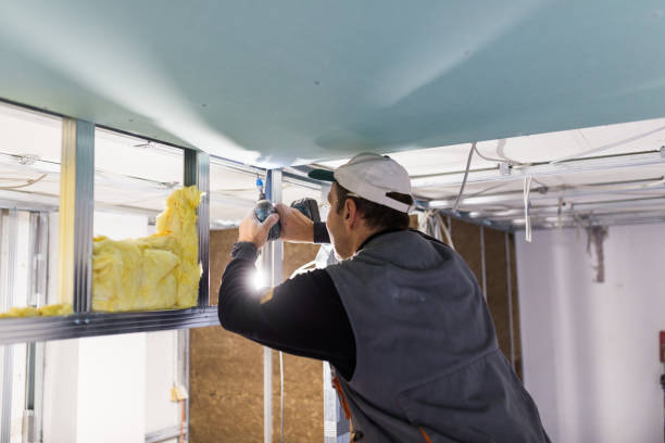 Best Spray Foam Insulation  in Wellington, OH