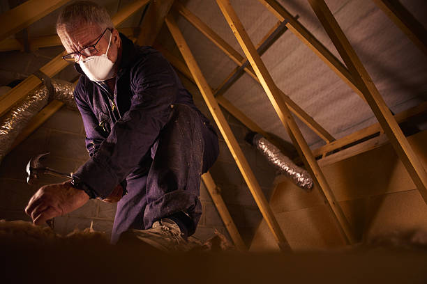 Best Insulation Contractors for Homes  in Wellington, OH