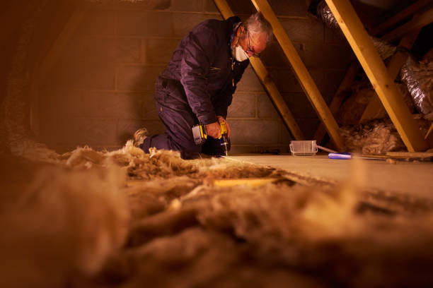 Best Fiberglass Insulation  in Wellington, OH